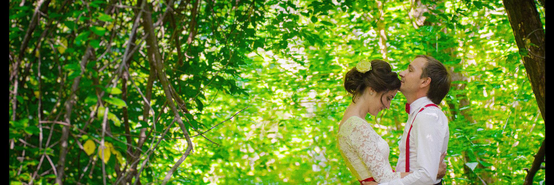 Pozinenko_N's profile banner image