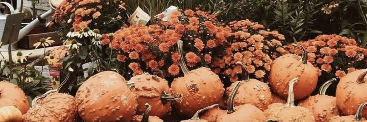 natnatjo94's profile banner image
