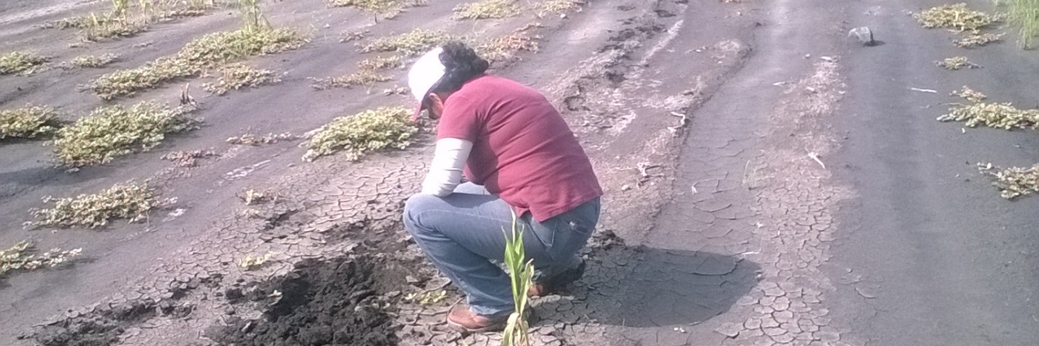 D AlvarezB/EcologíadeSuelos banner