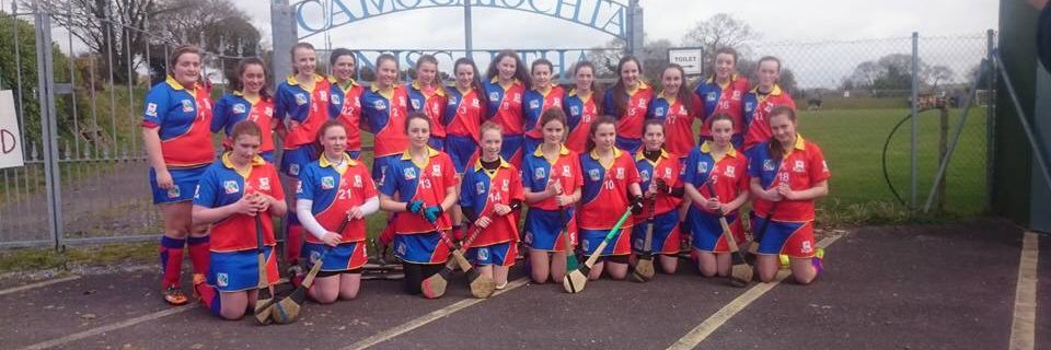 Carbery Camogie banner