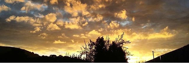 Stephwhit81's profile banner image