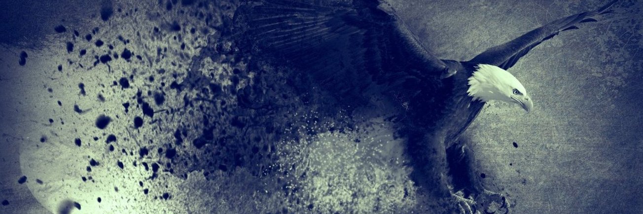 iamdeeza2's profile banner image