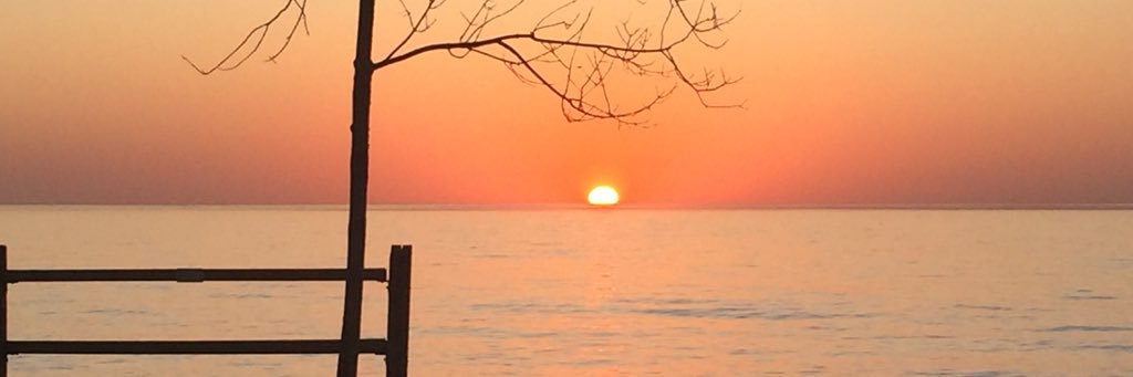 Aaron Sandstrom banner