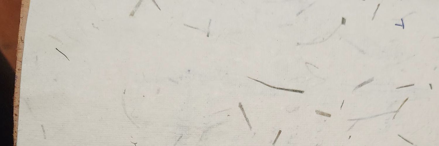 Bunny banner