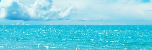 Manuel Santiago banner