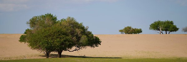 rollrollyuan Profile Banner