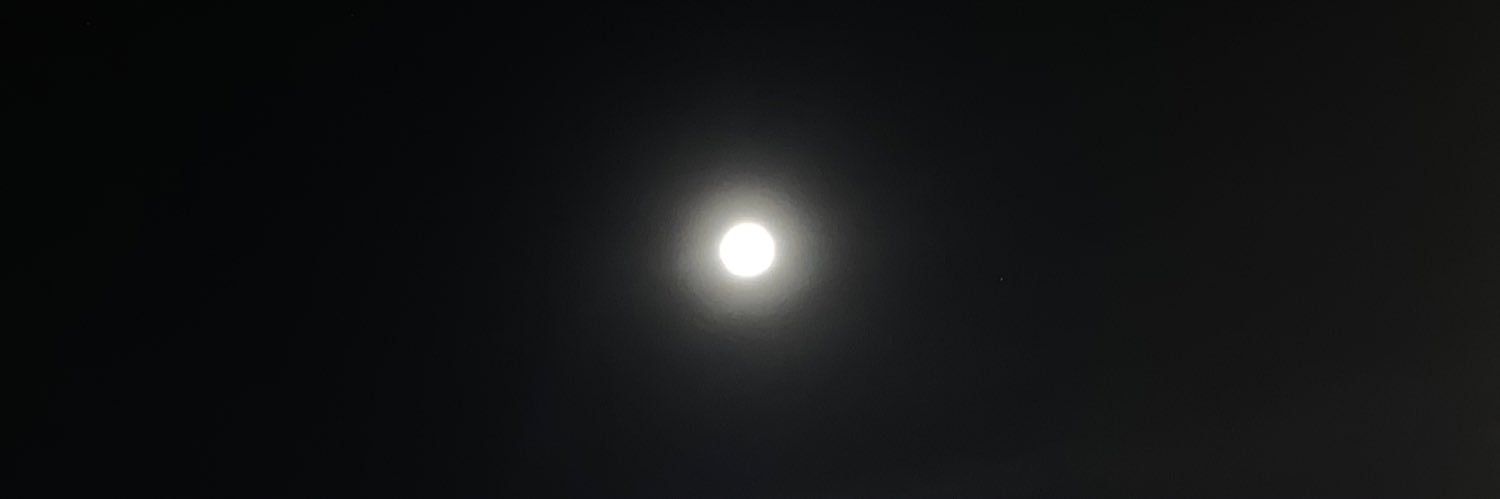 Patricia Martínez banner