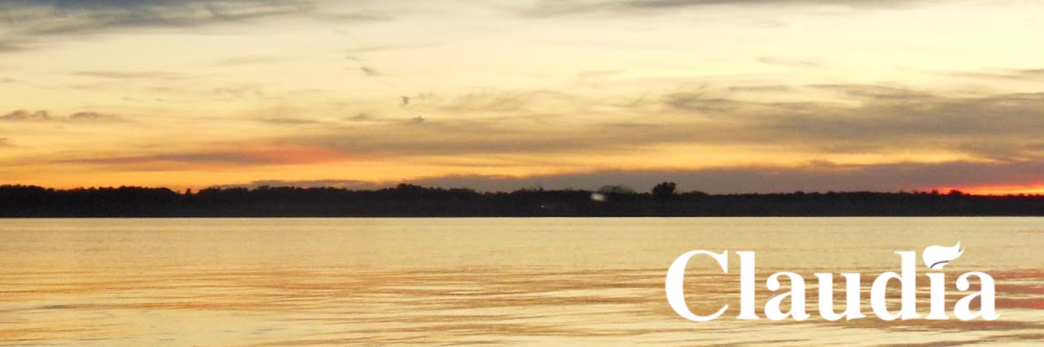 Claudia Tenney's banner