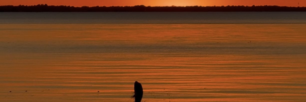 Claudia Tenney banner