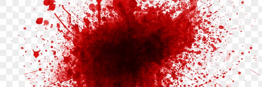 rishin13's profile banner image