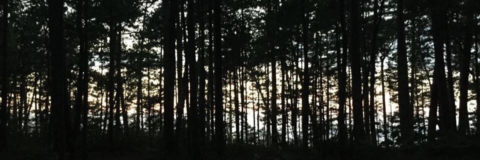 odd_identity's profile banner image