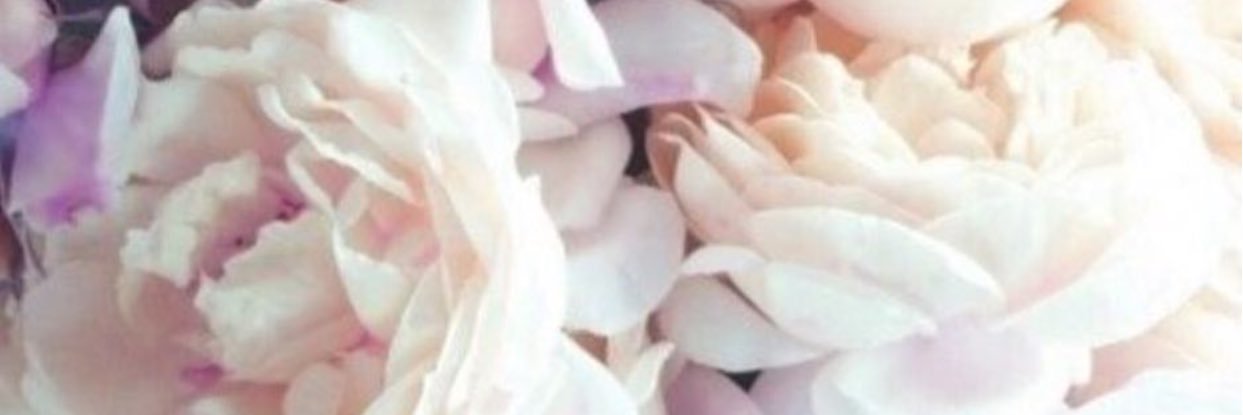 BethanySchnur's profile banner image