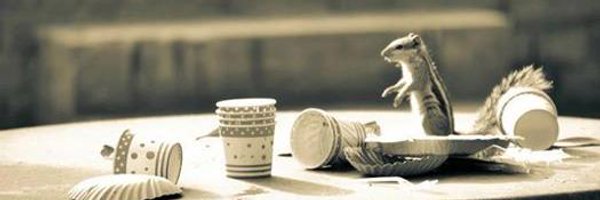 sangeetaghosh Profile Banner