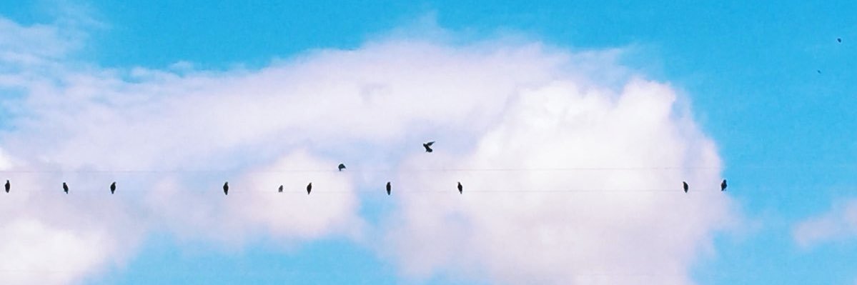 LaraLee's profile banner image