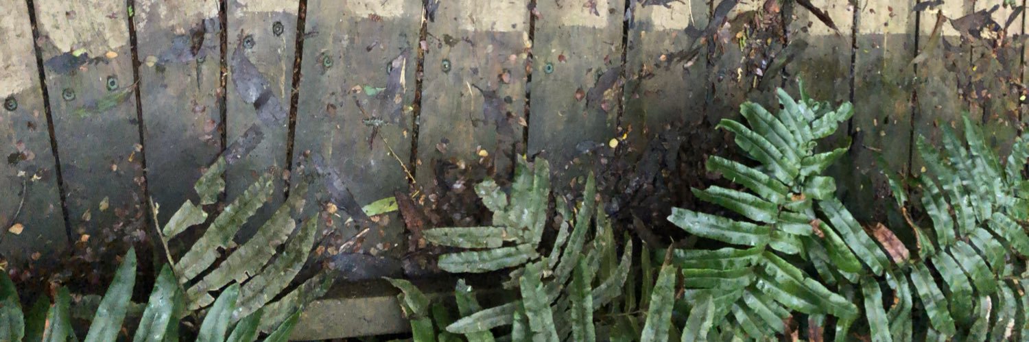 DrRosemaryHiggins (she/her) banner