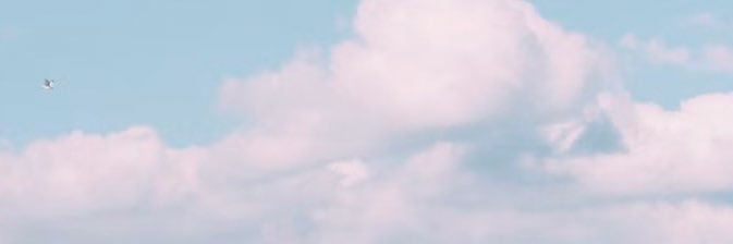 QueenRobina banner
