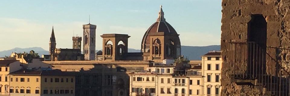 Pam Vitale banner