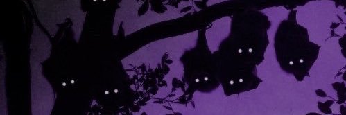 carowicca's profile banner image