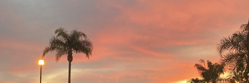 saba✨ banner