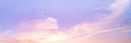 Lovi's banner