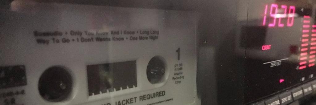 Scott Lawrence 🐀🦙 banner