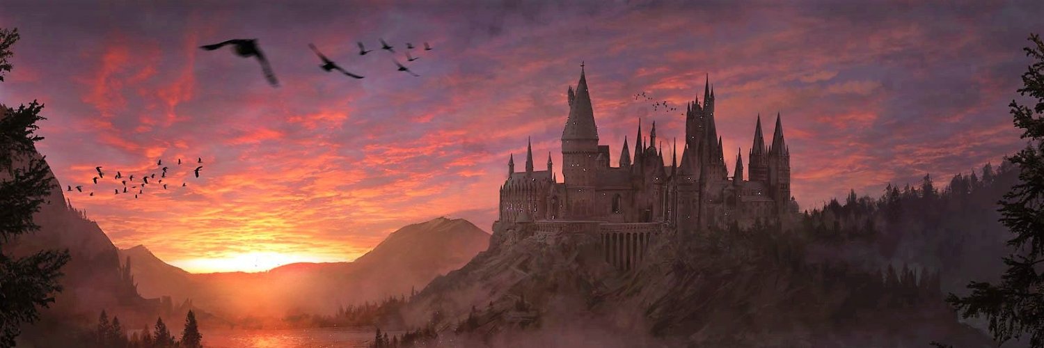 Maicon Ferreira banner