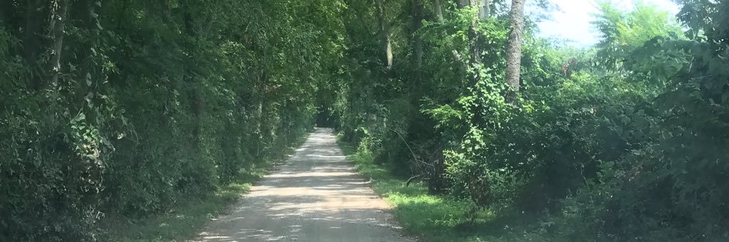 blairbollinger's profile banner image