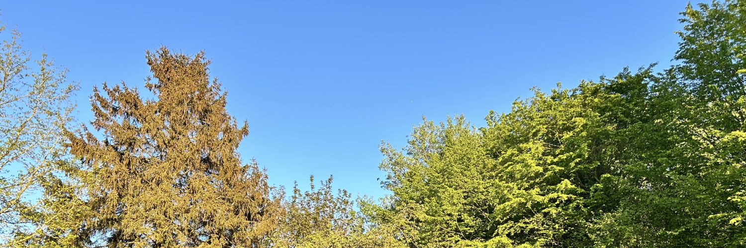 Guillaume Pech-Gourg banner