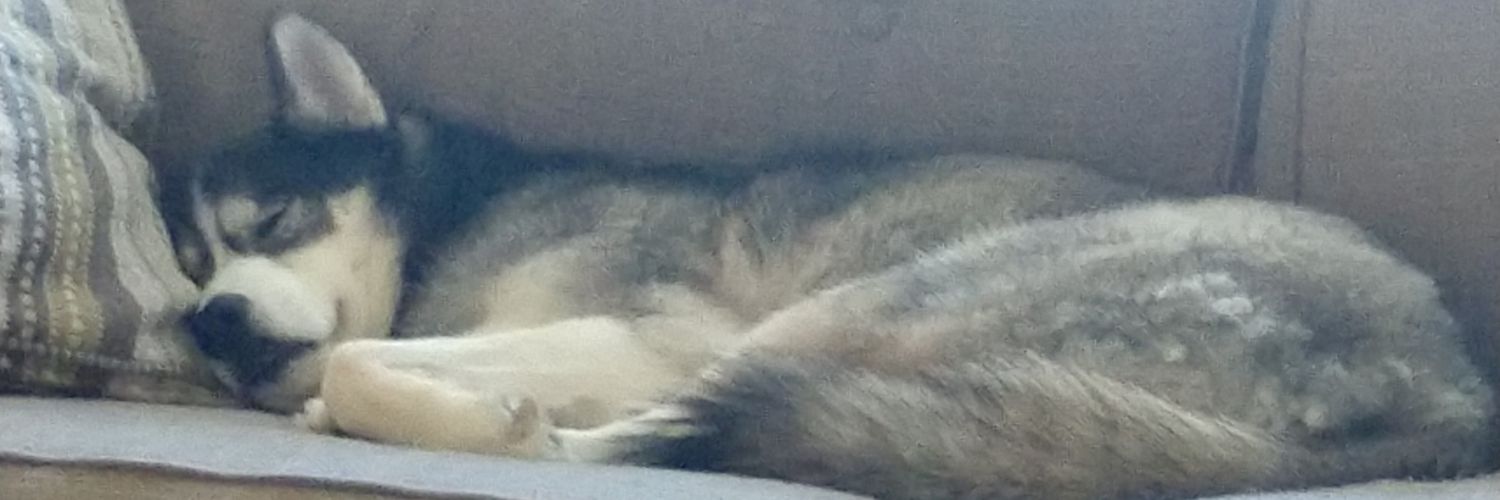moconnmaine's profile banner image