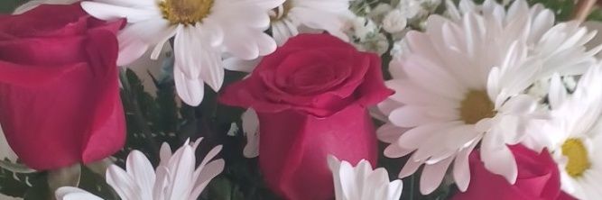 randomrubyrose1's profile banner image