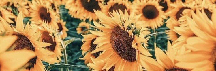 Justine🌻 banner