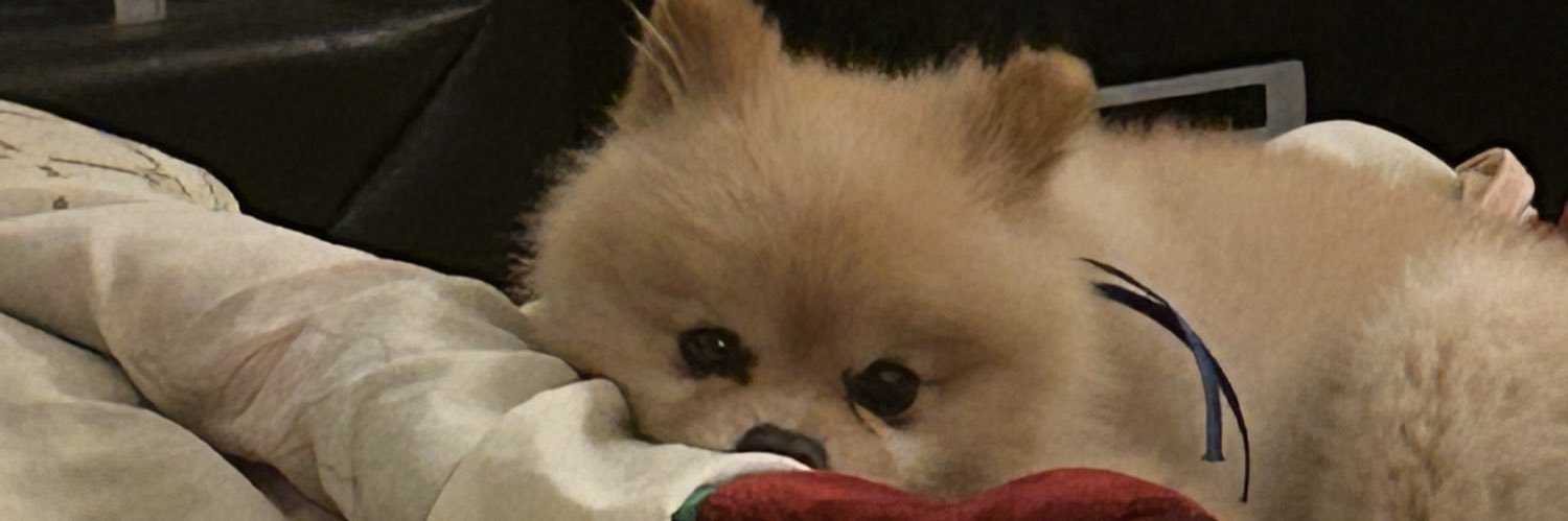 fercantellano's profile banner image