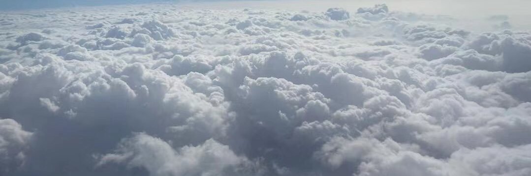 linlin4199's profile banner image