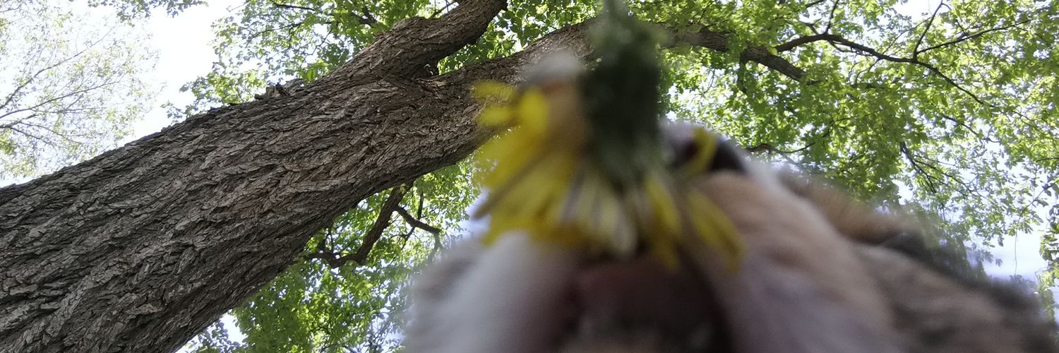 ethanbd1's profile banner image
