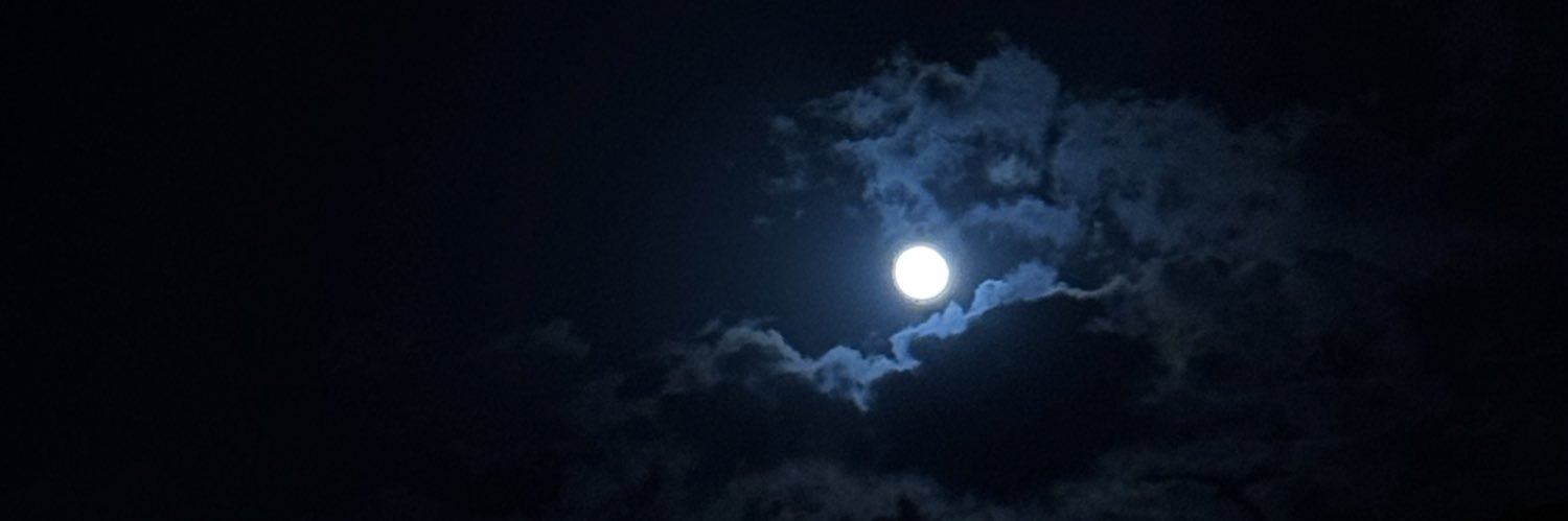 llnnrr's profile banner image