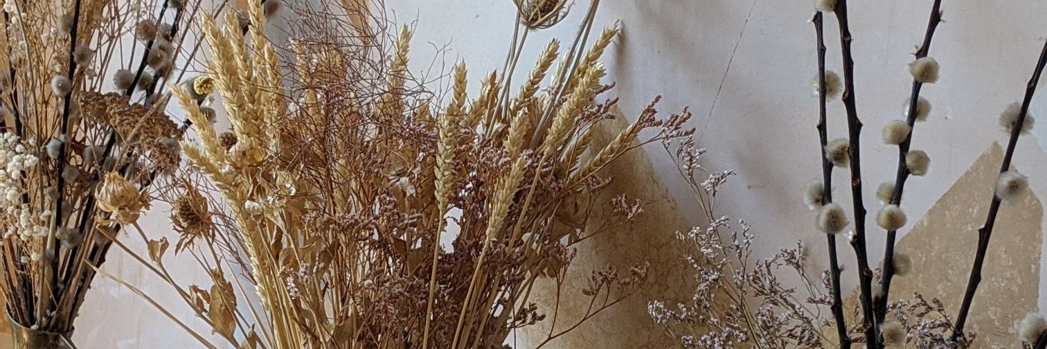 CemoAmedi's profile banner image