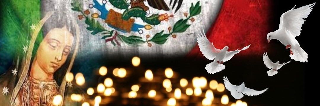 DL7 banner