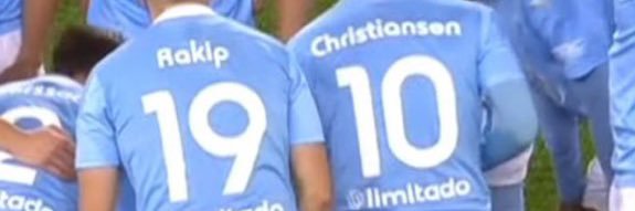 Elin banner