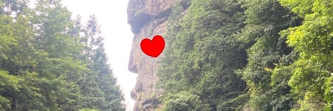 luluyisi's profile banner image