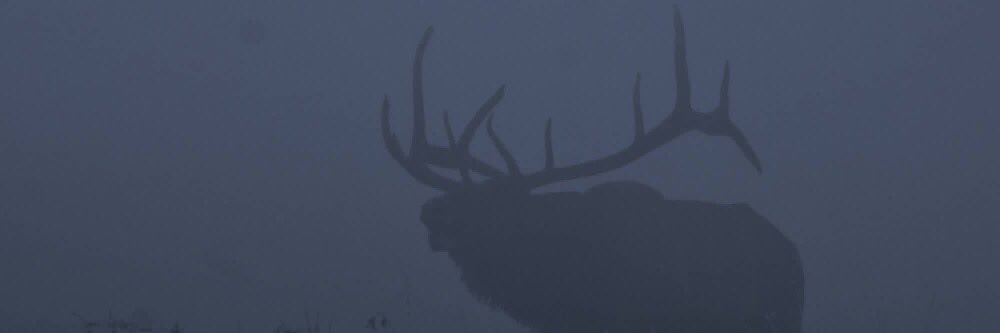 DWinters38's profile banner image