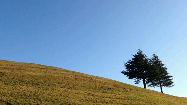 3246mitsuhiro's profile banner image