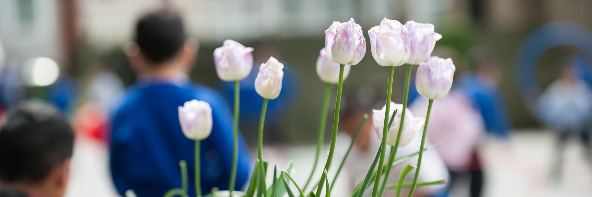 Marner Primary banner
