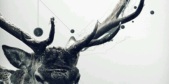brookeegger's profile banner image