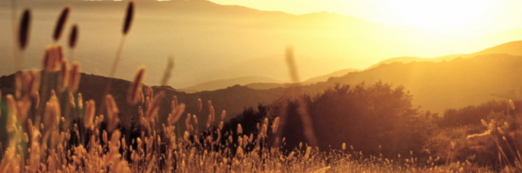 dwiayu94's profile banner image