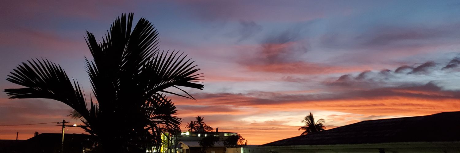 Marcus Scheiblecker banner