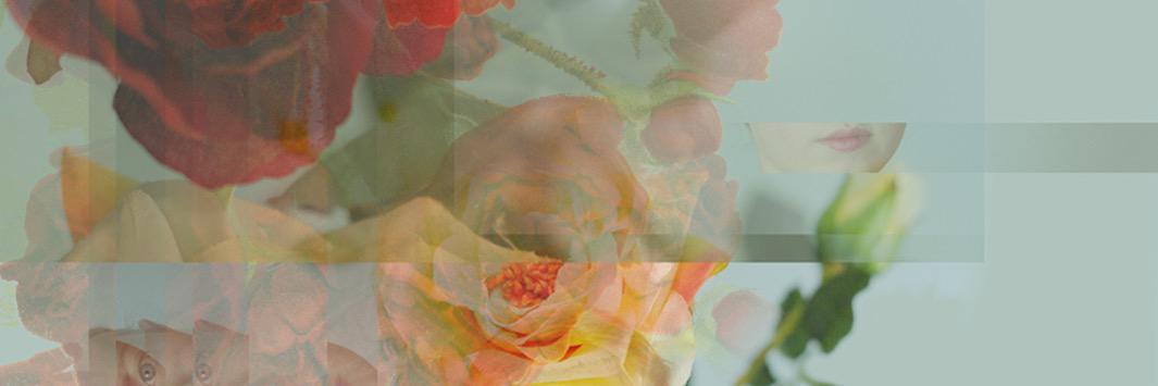 sentientmeow's profile banner image