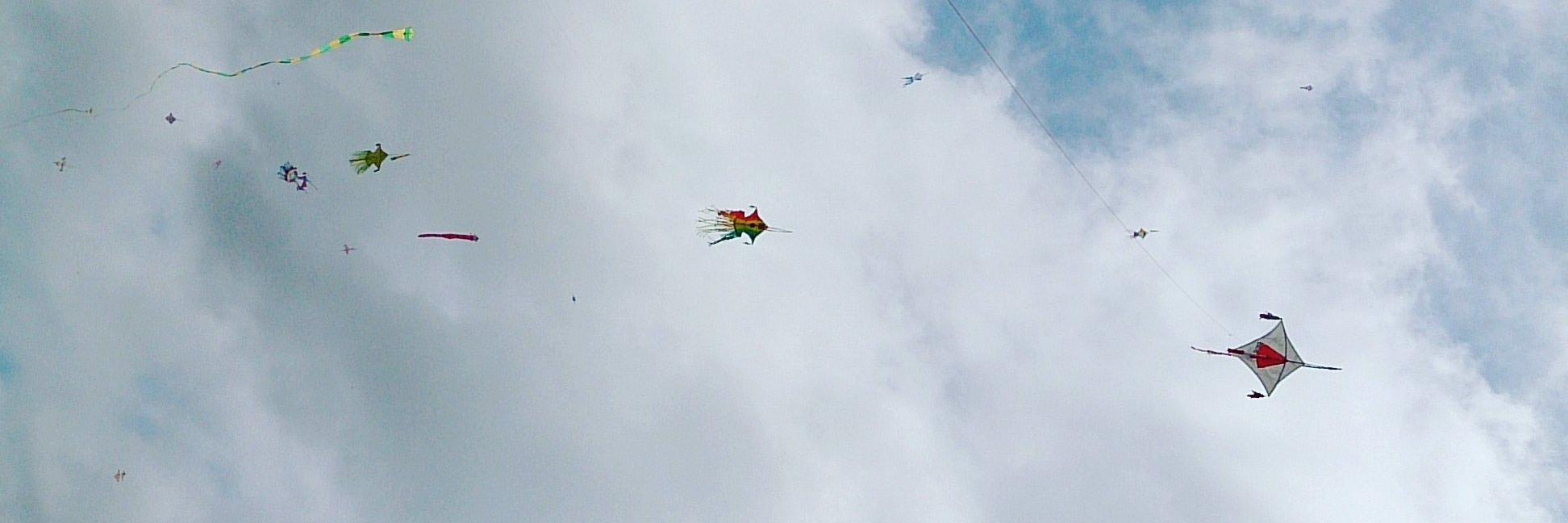 Pramodha Weerasekera banner