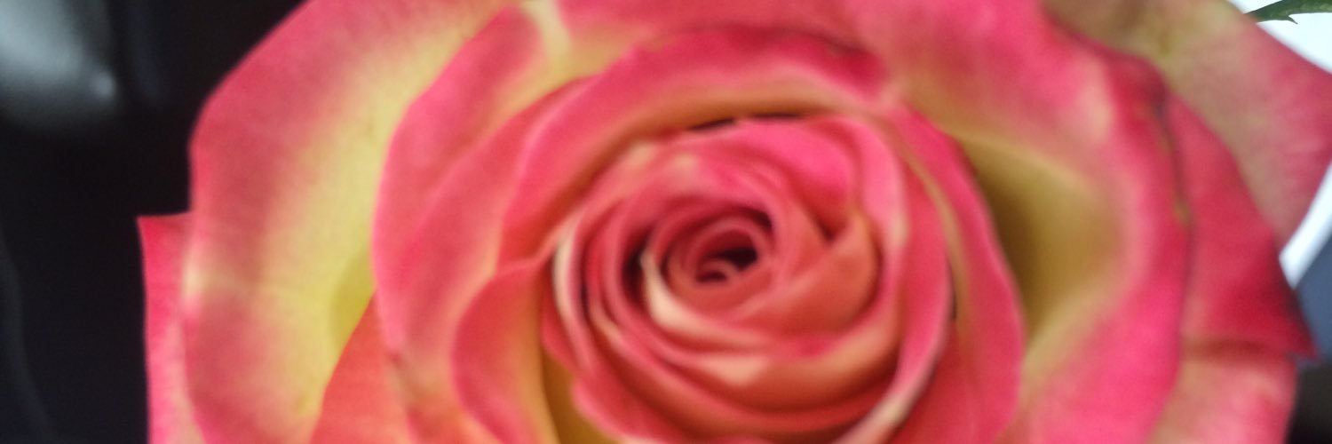 ChanelLewMiller's profile banner image