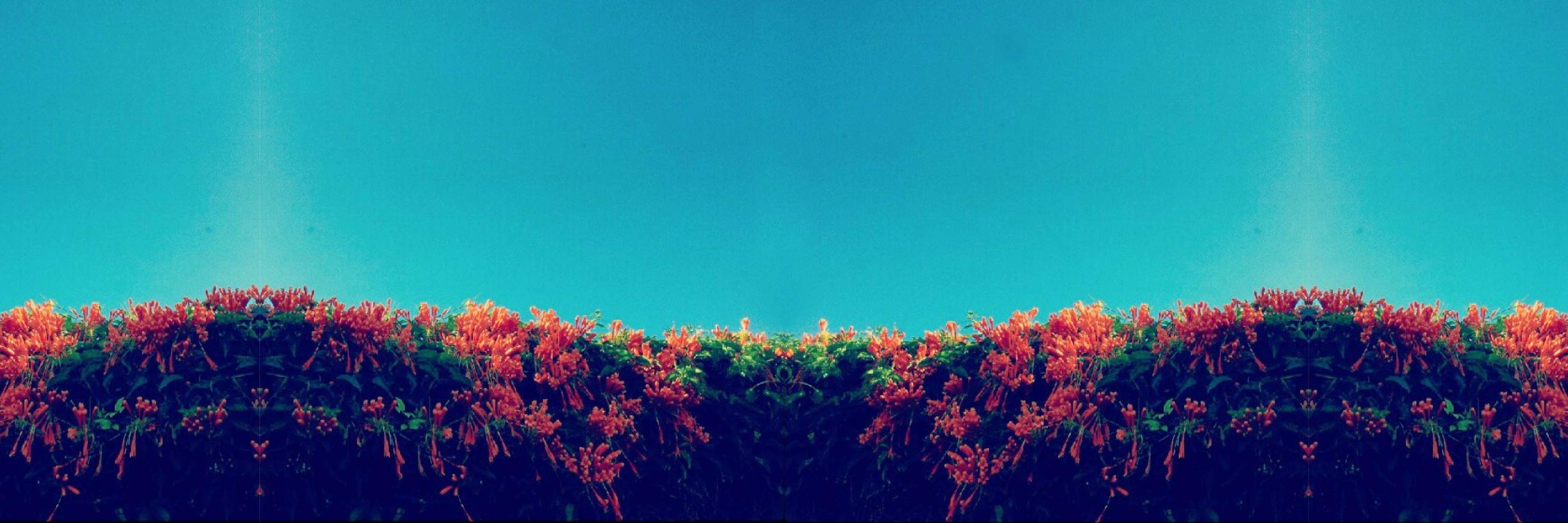 CaitlinSWatson's profile banner image