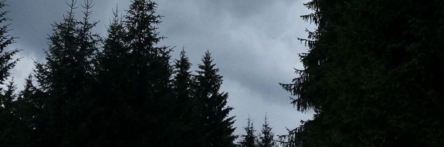 تركي banner